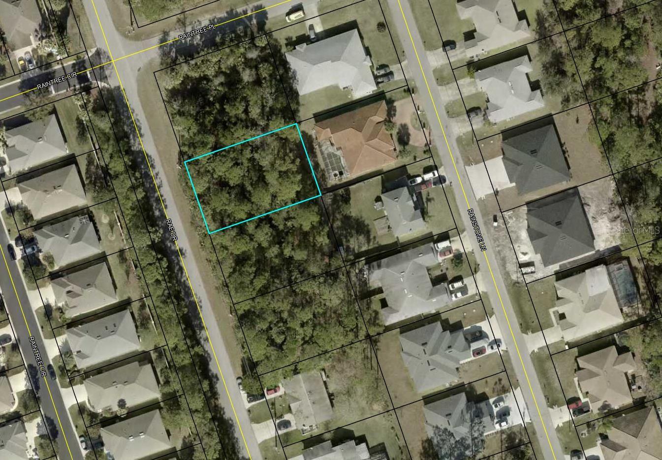 115 RAE DR + 117 RAE DR + 119 RAE DR + 121 RAE DR (SIDE BY SIDE LOTS) ALL AVAILABLE BY SAME SELLER!! Check out and purchase this QUARTER ACRE LOT in Florida's fastest-growing city! This ELEVATED and DRY parcel offers a solid foundation; perfect for your future construction projects. Ideal for investors and buyers looking to secure an investment opportunity and capitalize on rapid SUBURBAN growth!