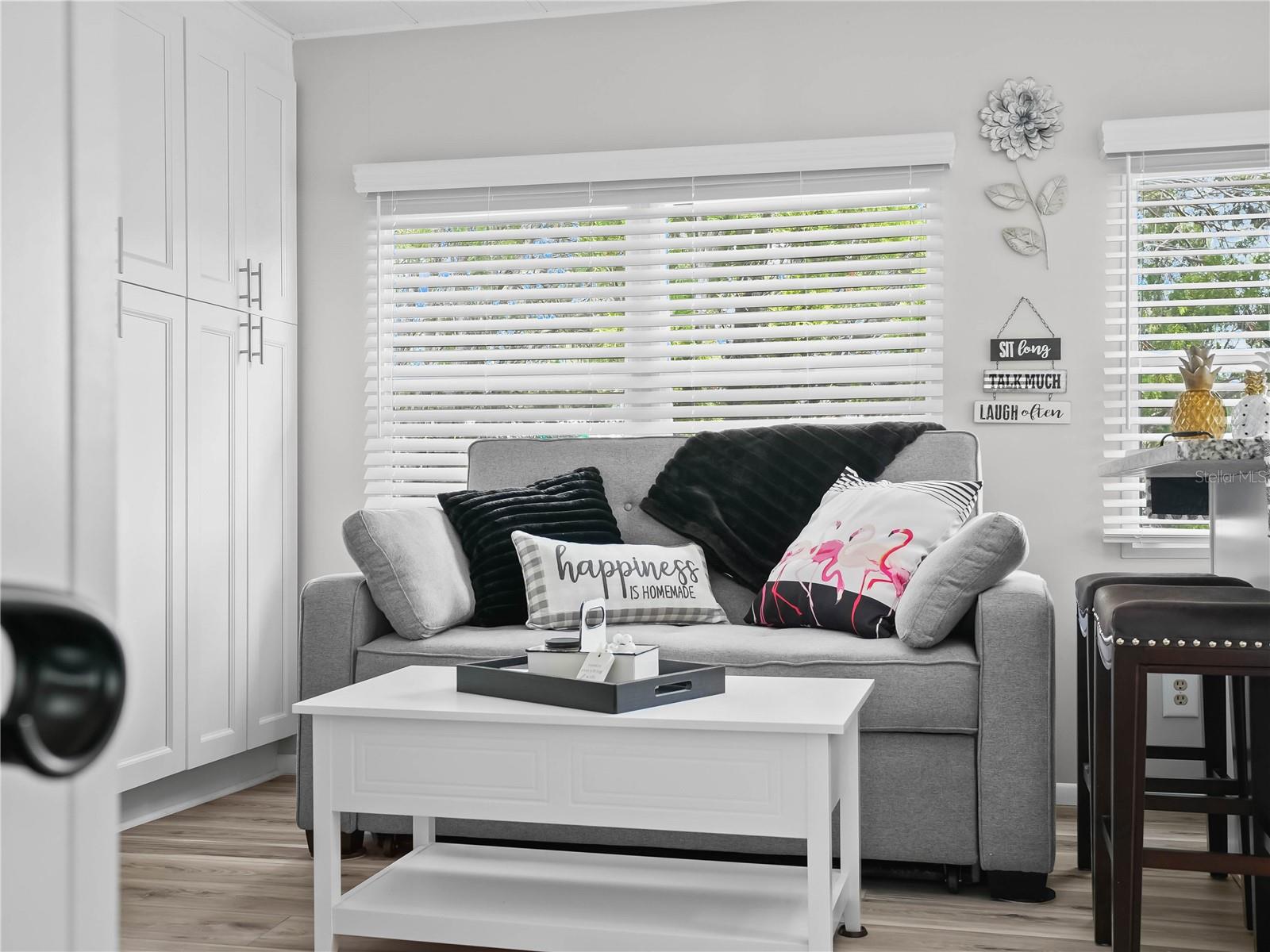 SADDLEBAG LAKE - Residential