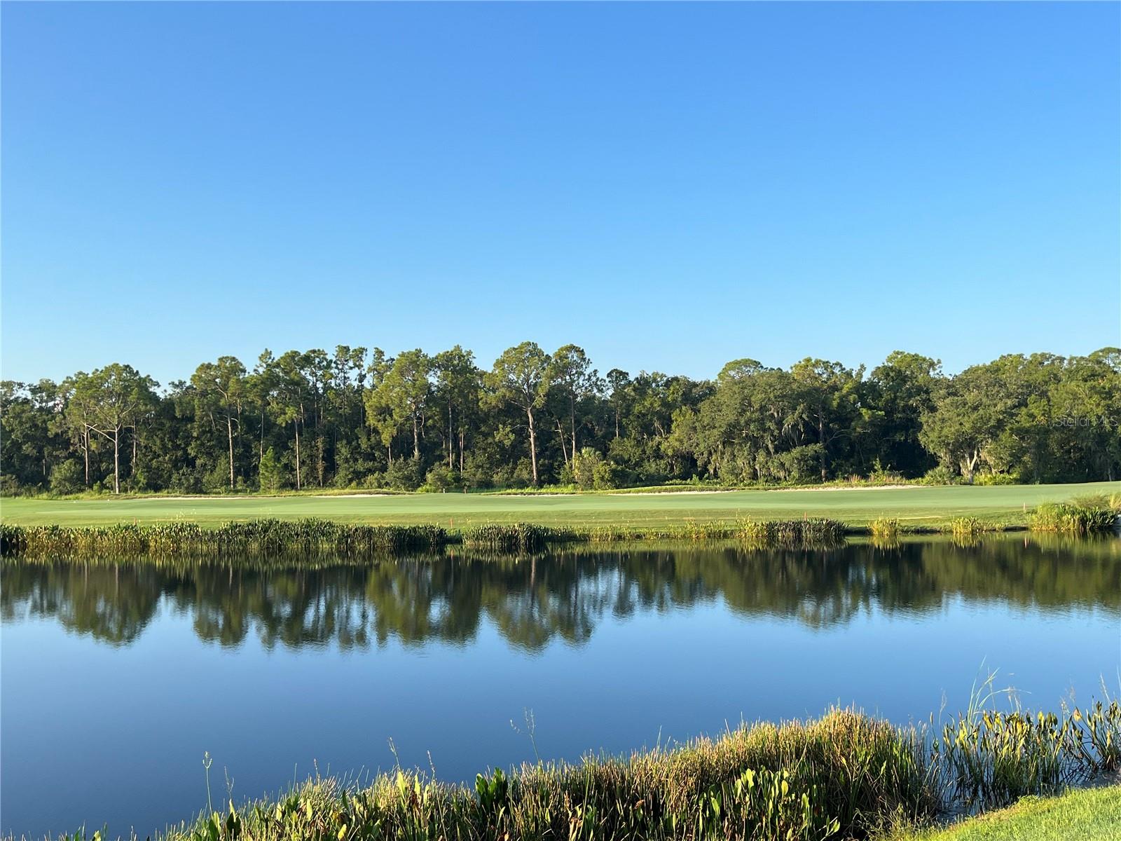 LAKEWOOD NATIONAL GOLF CLUB - Residential