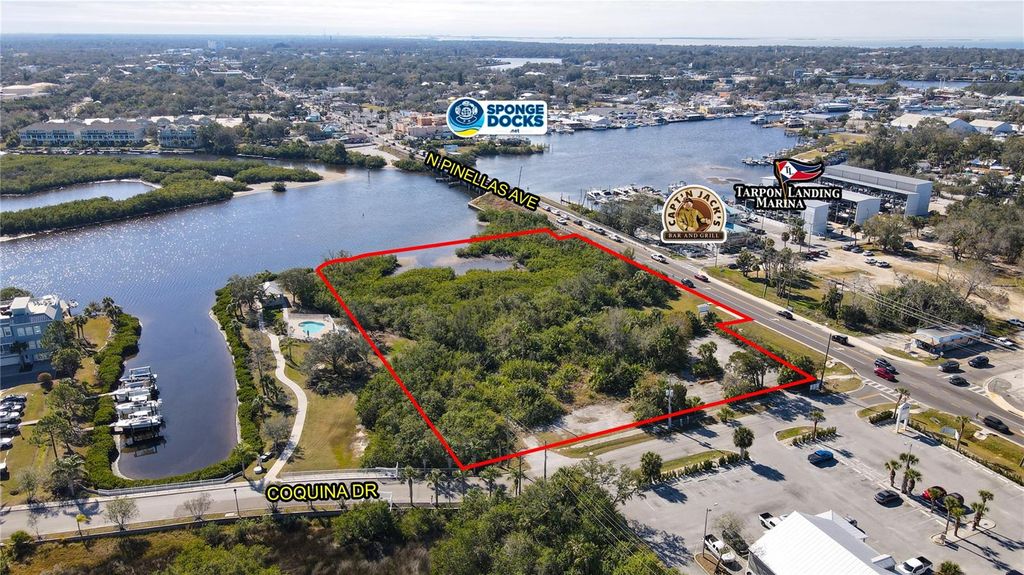Photo of N Pinellas Avenue, Tarpon Springs, FL 34689 (MLS # TB8366451)