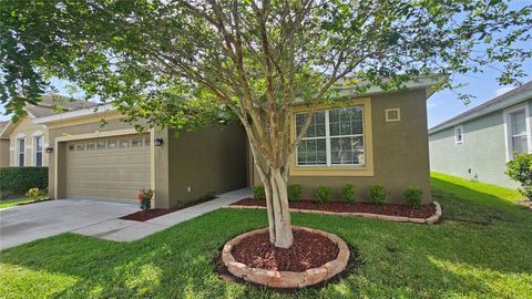 2528 LADOGA DRIVE LAKELAND FL 33805