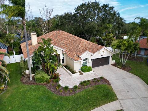 A home in PALM HARBOR