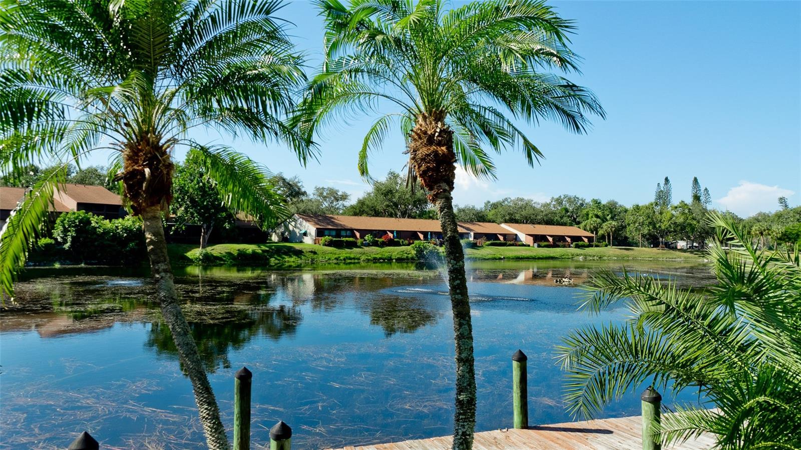 FORTY THREE WEST PALMS - Residential