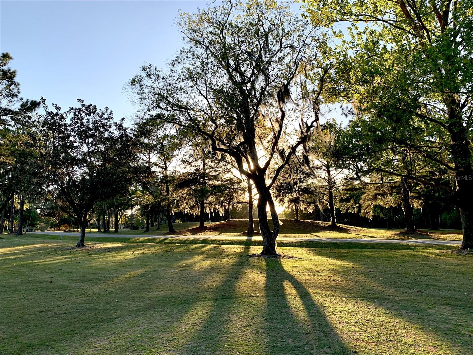 WHITE OAKS PH 1 - Residential