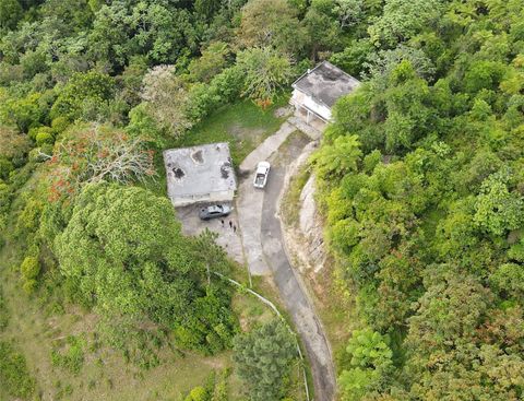 Photo of 183, Ramal 916 Barrio Cerro Gordo, Qbda. Arenas #, San Lorenzo, PR 00754 (MLS # PR9122103)
