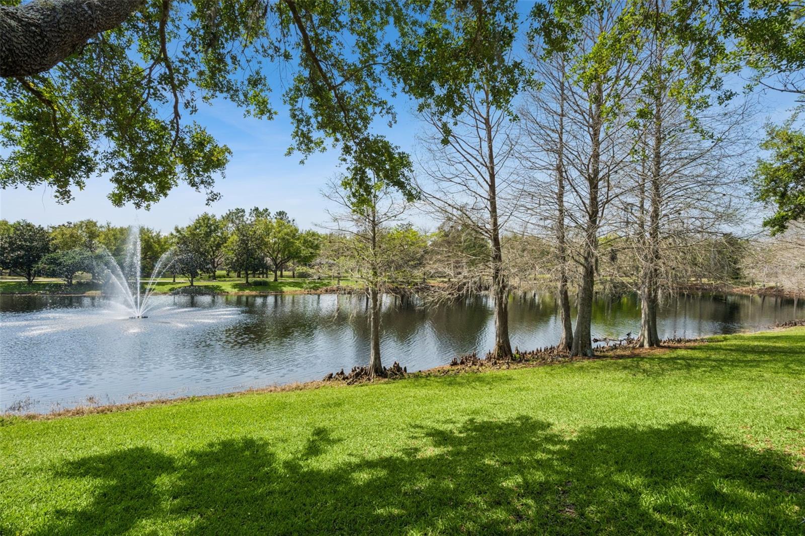 LAKE NONA ESTATES - Residential
