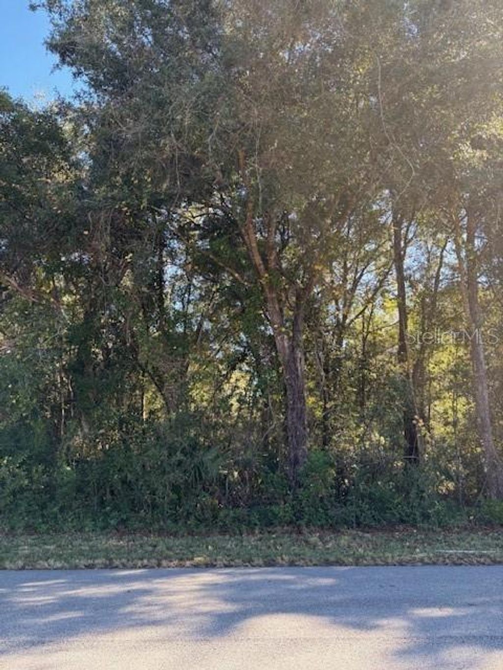 Photo of 345 S Ridgewood Avenue, Deland, FL 32720 (MLS # V4946291)