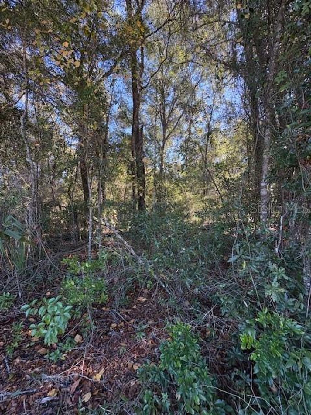 Photo of 345 S Ridgewood Avenue, Deland, FL 32720 (MLS # V4946291)