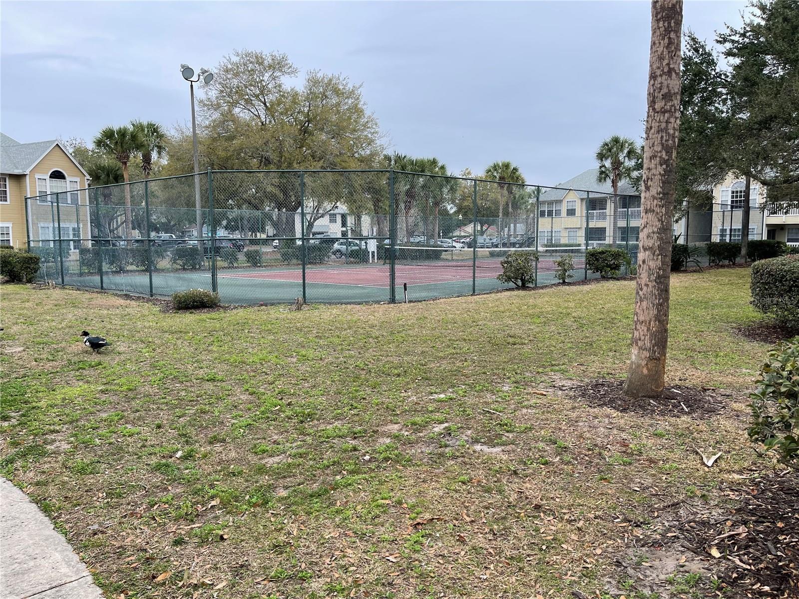 TRADEWINDS - Residential
