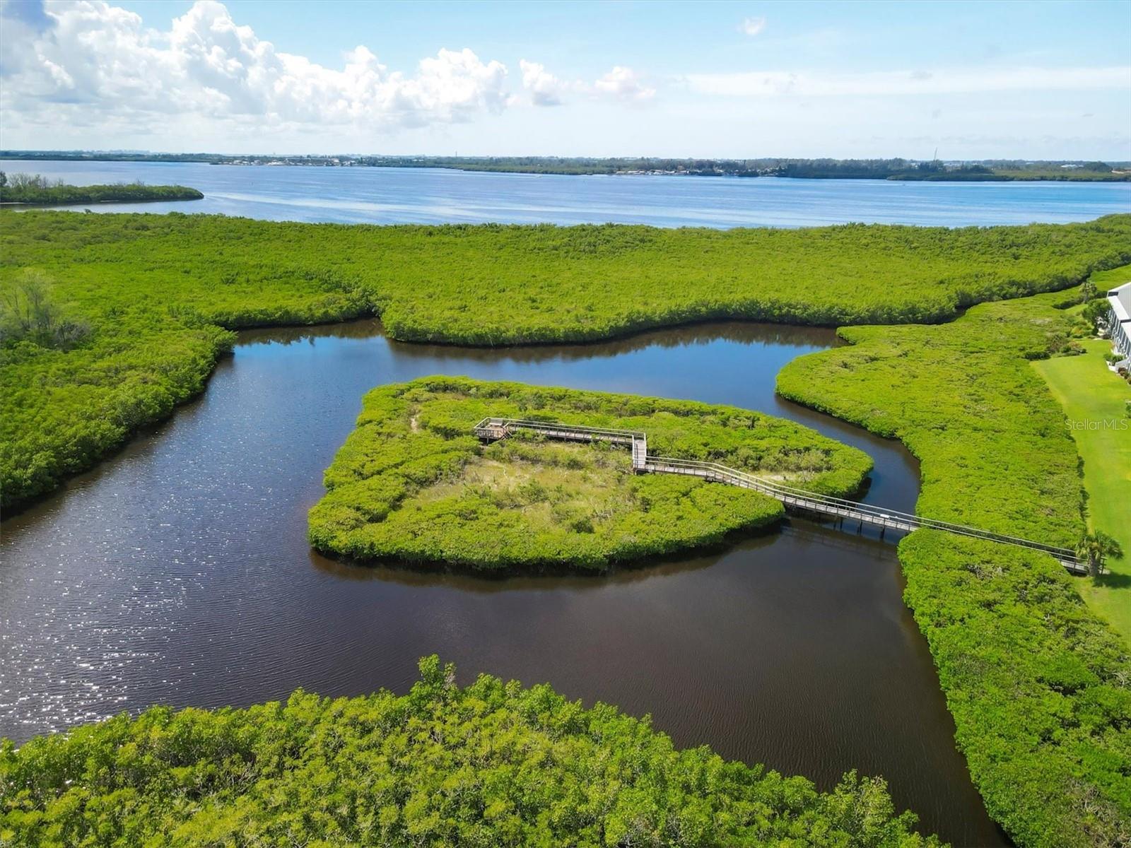 PERICO BAY CLUB - Residential