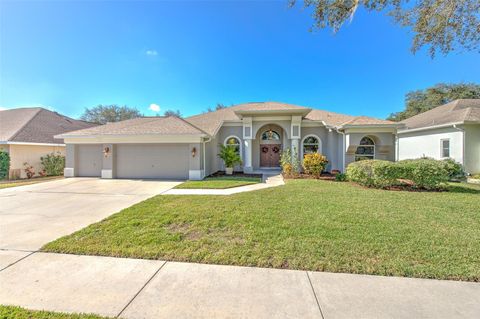 A home in VALRICO