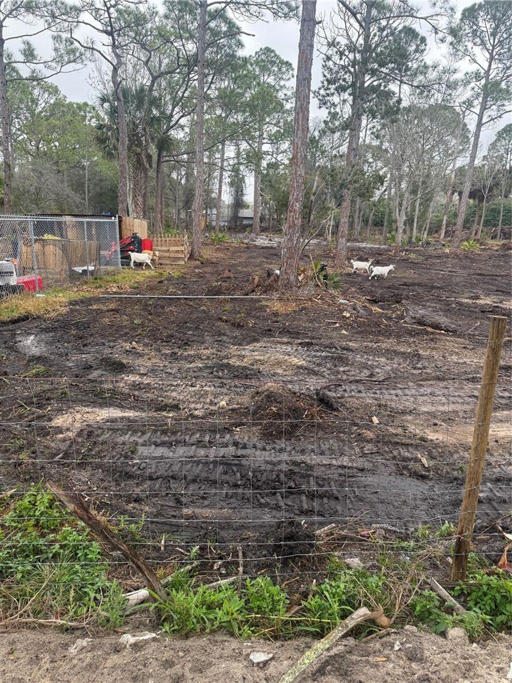 Photo of Xxx Shark, Hudson, FL 34667 (MLS # TB8480943)