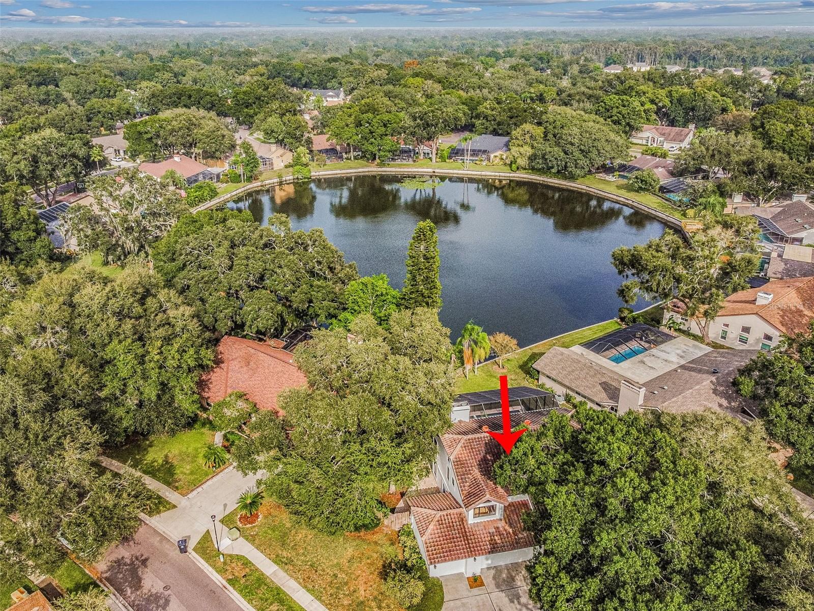 LAKE MAGDALENE MANORS - Residential