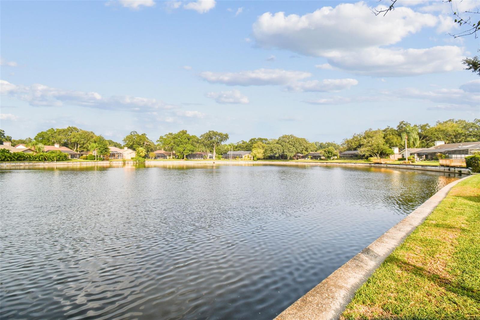 LAKE MAGDALENE MANORS - Residential