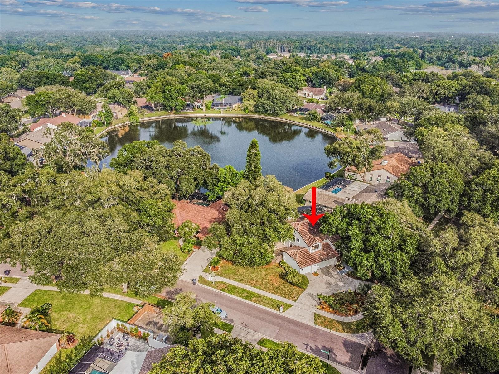 LAKE MAGDALENE MANORS - Residential
