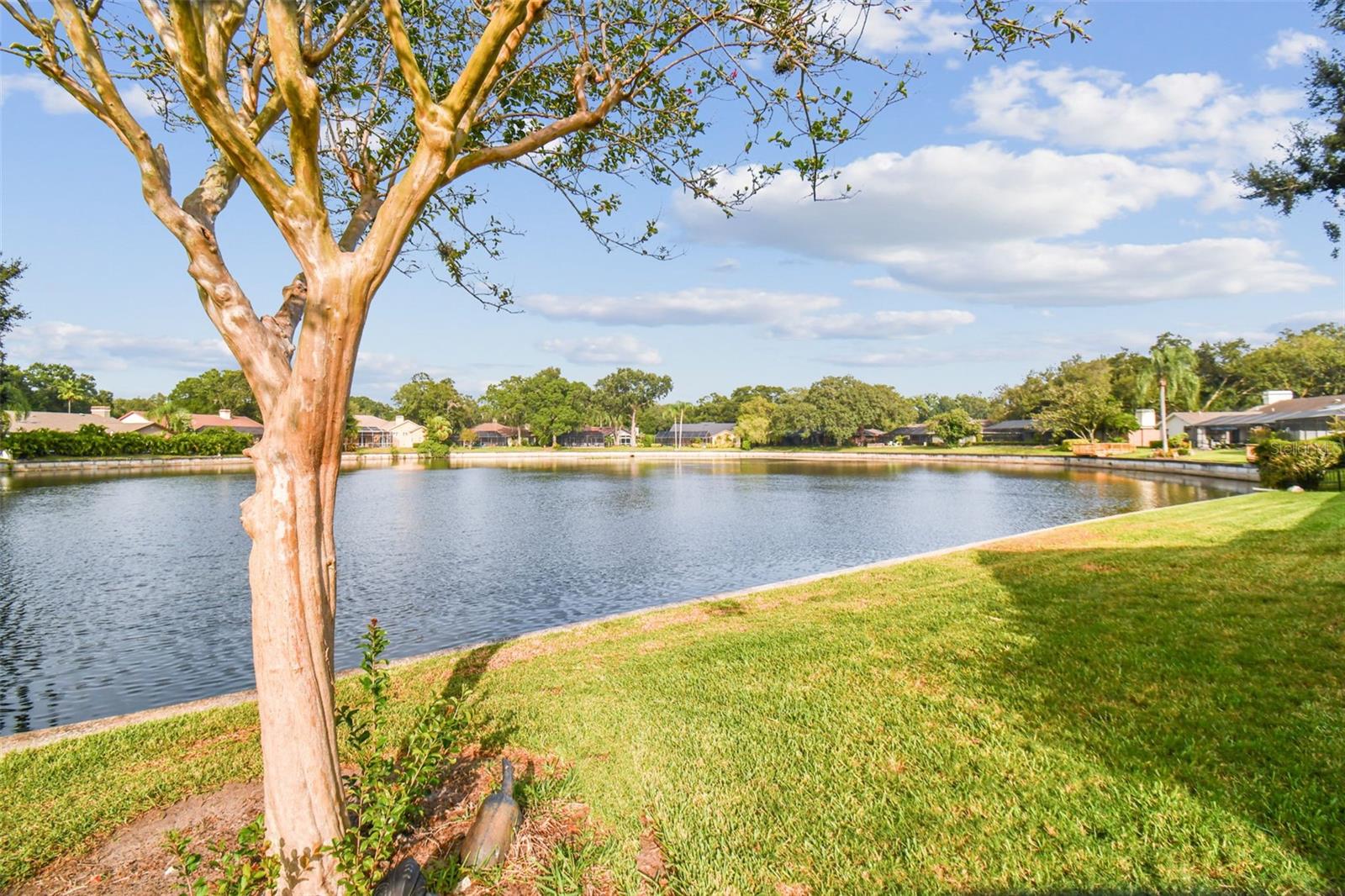 LAKE MAGDALENE MANORS - Residential