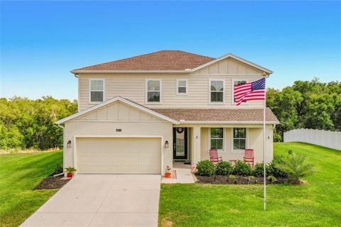 Photo of 6013 Claystone Way, Mount Dora, FL 32757 (MLS # S5150048)