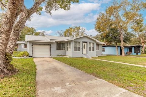 A home in NEW SMYRNA BEACH