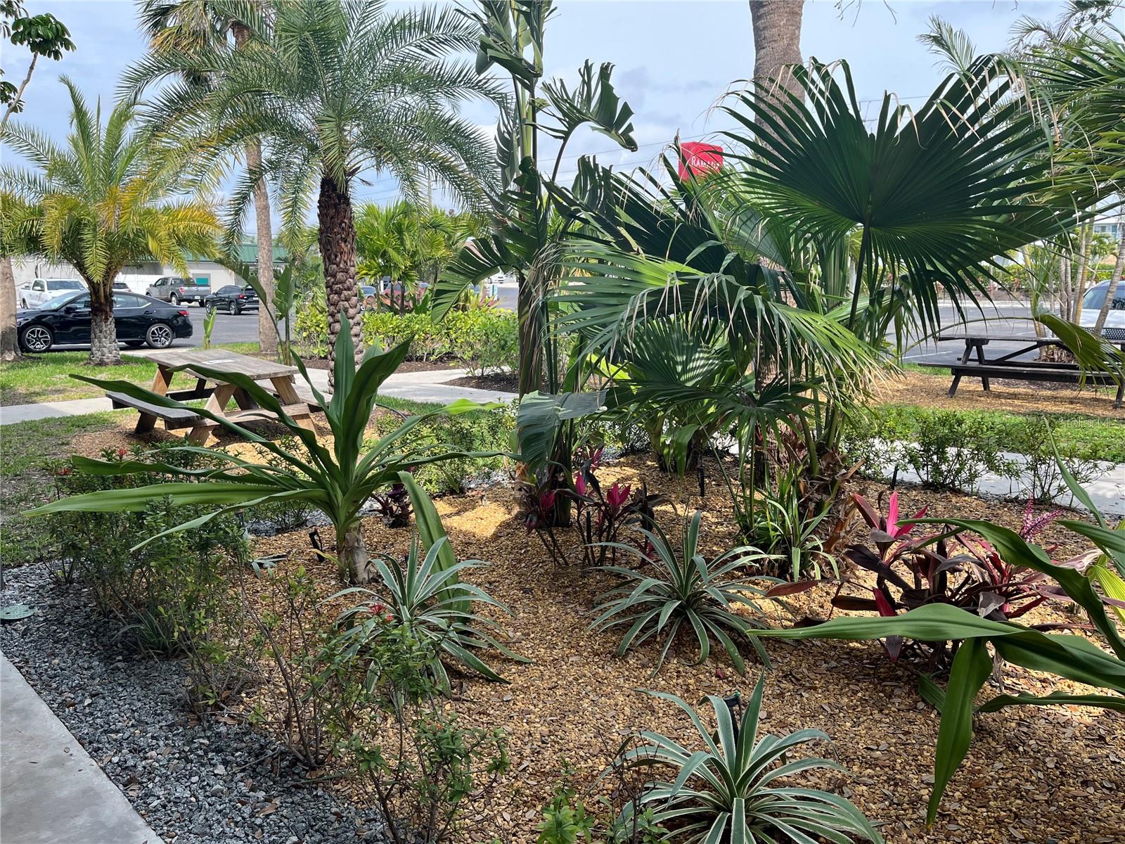 SARASOTA CAY CLUB CONDO - Residential