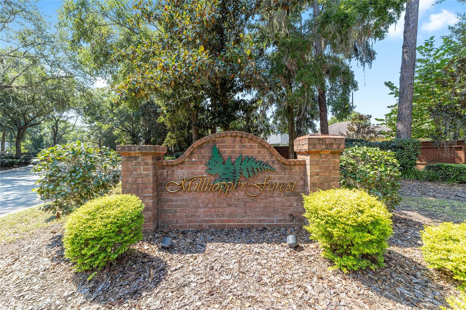 MILLHOPPER FOREST PH 1A - Residential