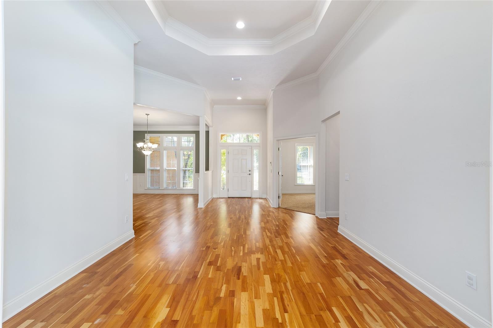 MILLHOPPER FOREST PH 1A - Residential