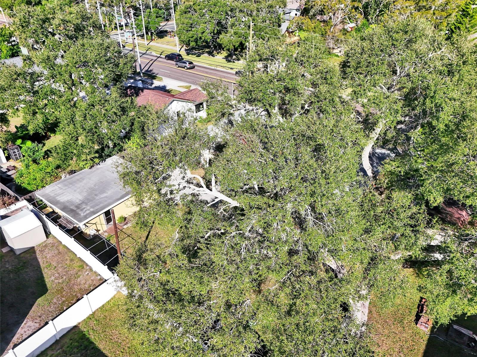 BASSADENA - Residential Income