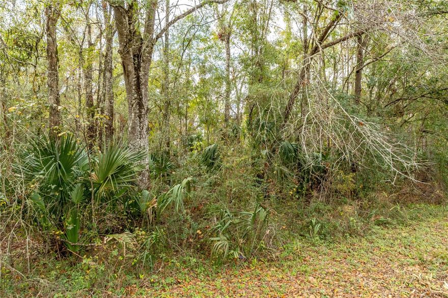 Private, wooded homesite in the Annutalaga Hammock area offering a rare blend of seclusion and convenience, just minutes from the Suncoast Parkway and everyday shopping. This property features a lush natural setting with mature oak, hickory, magnolia, citrus, pine, and oak trees, creating a peaceful environment ideal for building your custom home or private retreat. The land includes a lime-rock driveway with shared access, providing a functional start for future development. Surrounded by nature and bordered by a neighboring 600+ acre ranch to the west, the setting offers added privacy and a true country feel while still being close to hospitals, schools, dining, and retail. Enjoy outdoor living with nearby access to over 8 miles of hiking trails and proximity to Cabot Citrus Farms, a premier golf destination. A short drive brings you to Weeki Wachee Springs State Park for kayaking, tubing, and wildlife viewing, while the Gulf of Mexico and Clearwater Beach are within easy reach for boating and beach days. With room for horses, recreational vehicles, and outdoor hobbies, plus access to the Suncoast Parkway Bike Trail just a few miles away, this property supports an active Florida lifestyle. A unique opportunity to own a secluded, nature-rich homesite with convenient access to modern amenities and some of Florida's most desirable outdoor destinations.