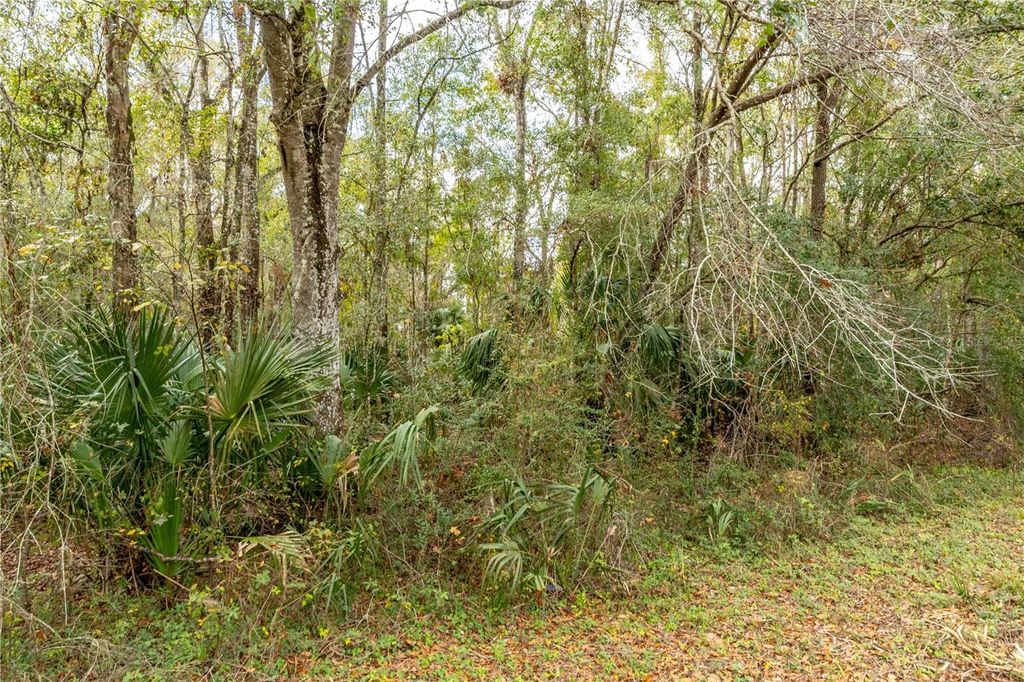 Photo of Lake Lindsey Tract 2 Road, Brooksville, FL 34601 (MLS # W7884394)