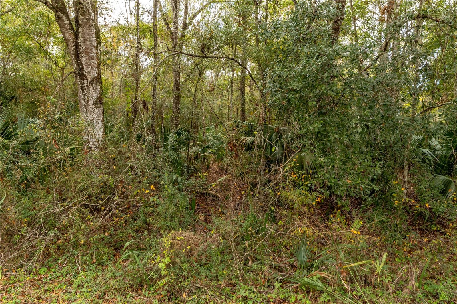 LAKE LINDSEY TRACT 2 ROAD