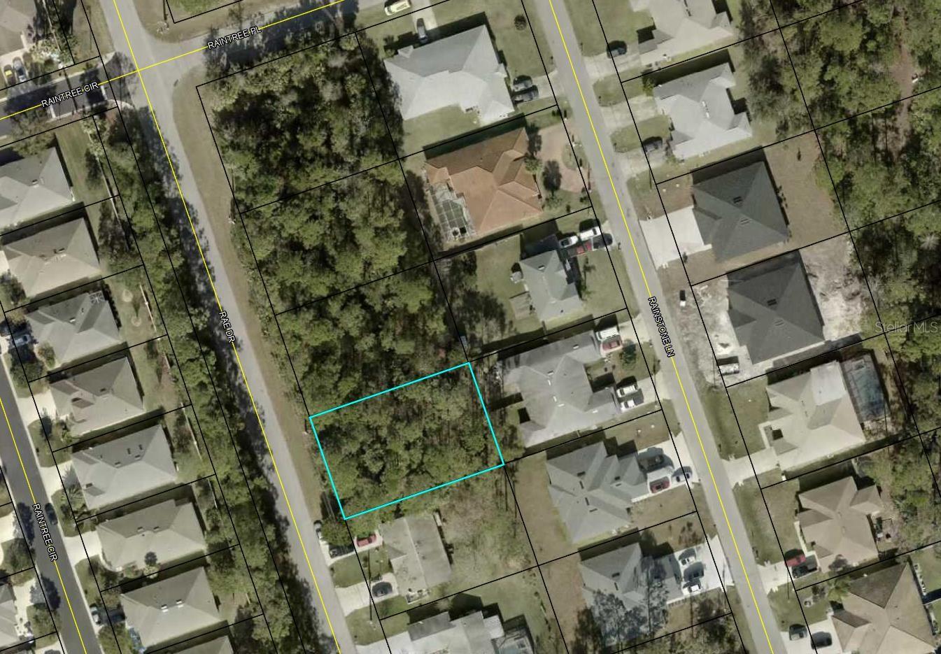 115 RAE DR + 117 RAE DR + 119 RAE DR + 121 RAE DR (SIDE BY SIDE LOTS) ALL AVAILABLE BY SAME SELLER!! Check out and purchase this QUARTER ACRE LOT in Florida's fastest-growing city! This ELEVATED and DRY parcel offers a solid foundation; perfect for your future construction projects. Ideal for investors and buyers looking to secure an investment opportunity and capitalize on rapid SUBURBAN growth!