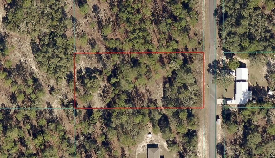 Great rectangular Lot in Rainbow Lakes Estates. This lot is nicely treed, 1 full acre on SW Persimmon Lane with power. Zoned R1 - Site-built homes only. Minutes to beautiful Rainbow Springs State Park and the Rainbow River. A quick commute to downtown Dunnellon for shopping, banking, and restaurants and only about 30 minutes to the World Equestrian Center in Ocala. Lots of new construction going on in this area. The community has its own library, community center, playground, basketball courts, tennis courts, 2 boat ramps, and fishing pier, NO HOA.