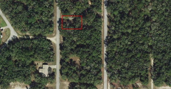 6569 N FLOWER TER, HERNANDO, FL 34442 - Image 7f7f77c630a4e5dc0b41102b90d1cd0c/278142433