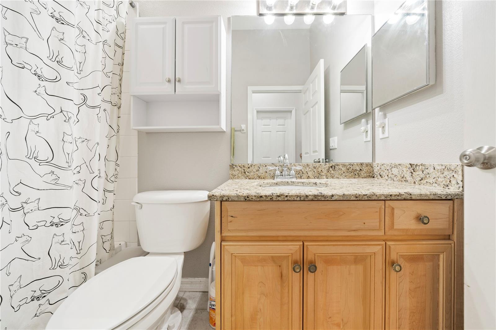 MEADOW POINTE PRCL 10 UNIT 01 02 - Residential