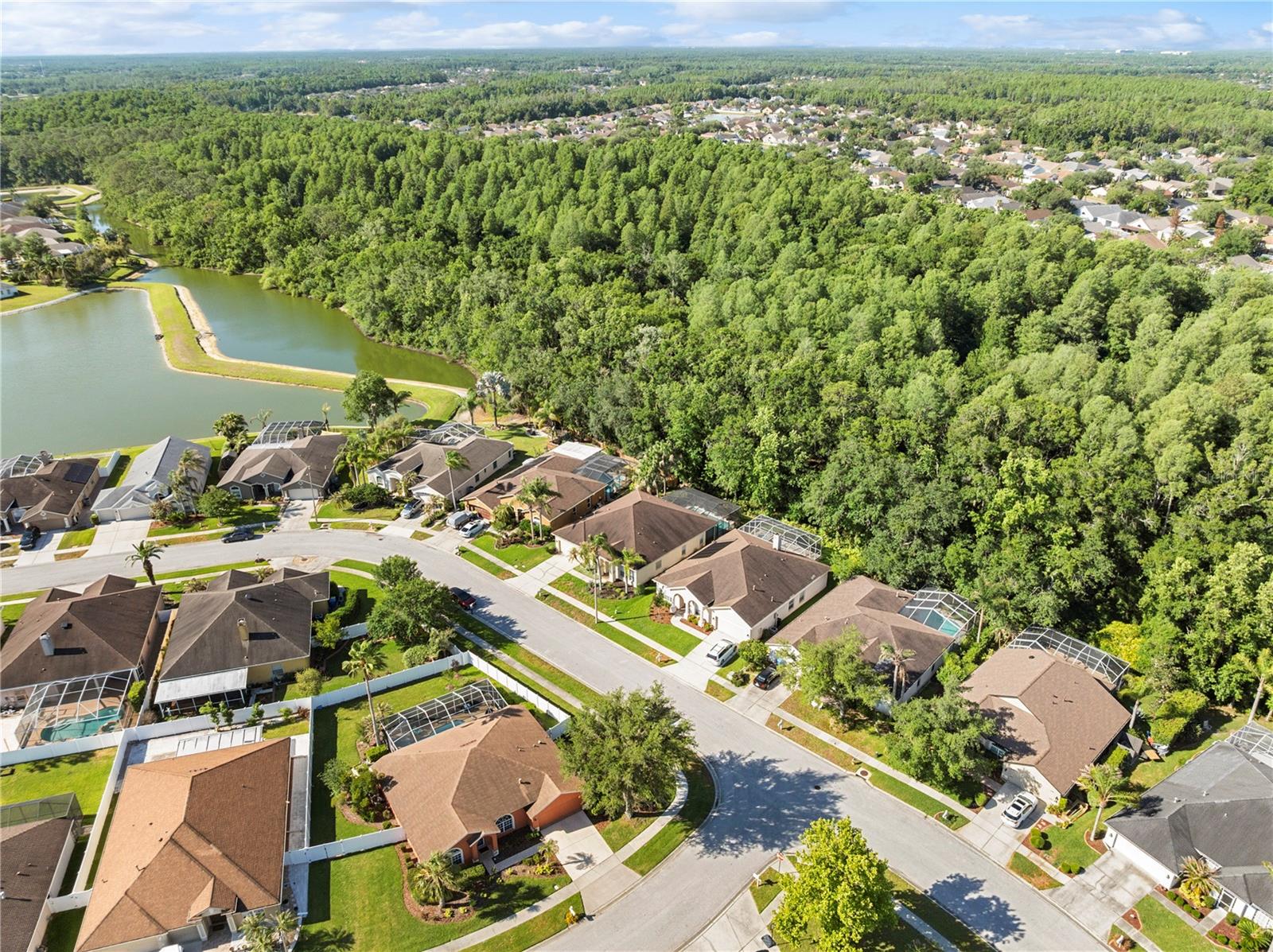 MEADOW POINTE PRCL 10 UNIT 01 02 - Residential