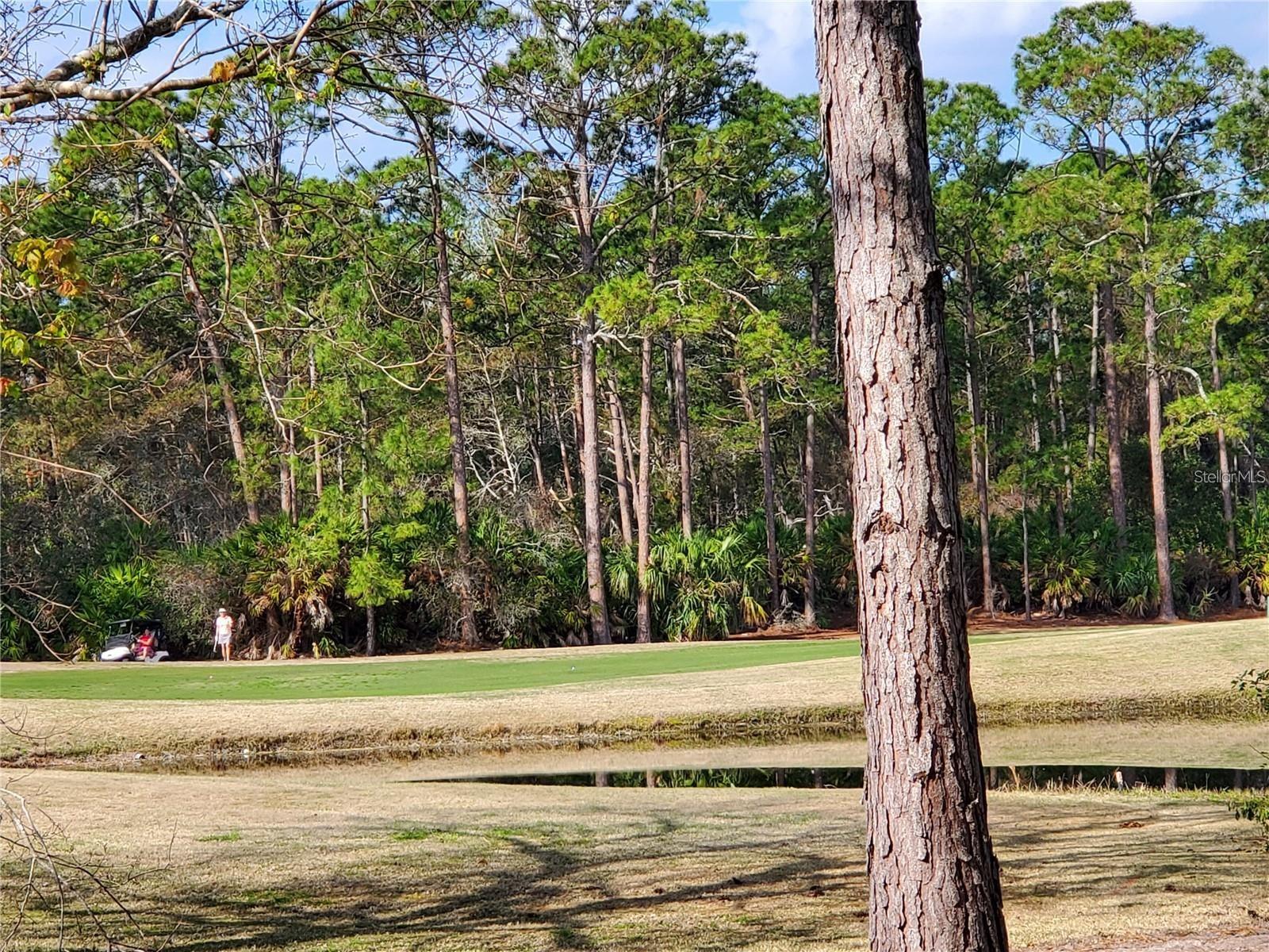 ESTATES GRAND HAVEN PH 2 - Land