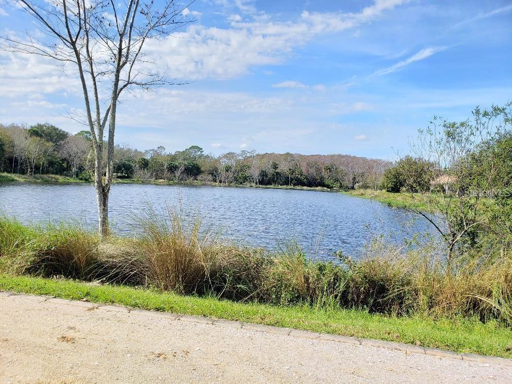 ESTATES GRAND HAVEN PH 2 - Land