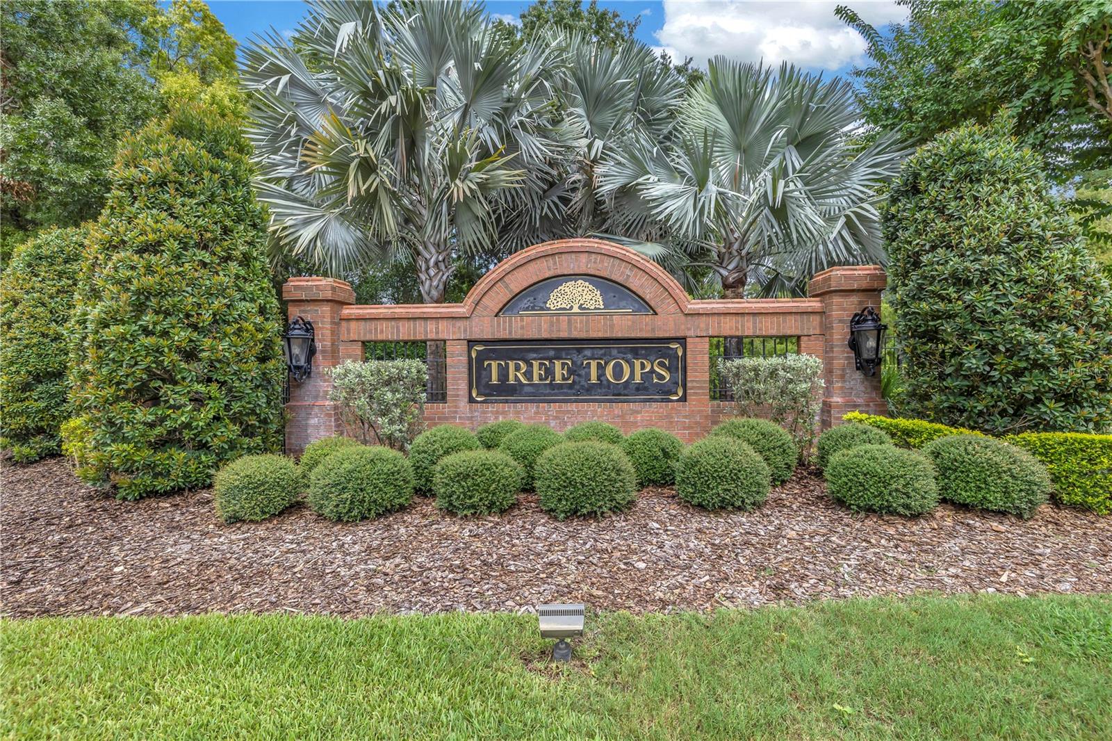 9818 TREE TOPS LAKE ROAD