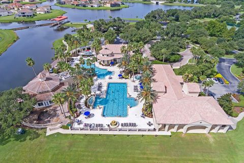 A home in KISSIMMEE