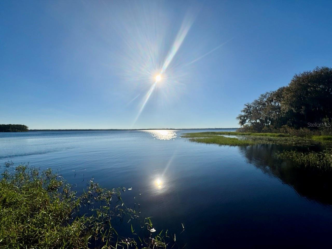 OCALA NATIONAL FOREST - Residential