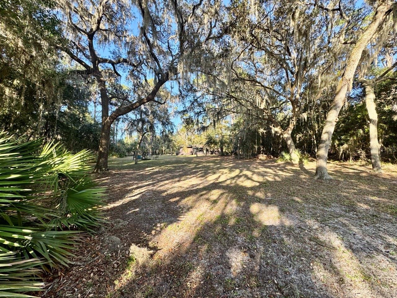 OCALA NATIONAL FOREST - Residential