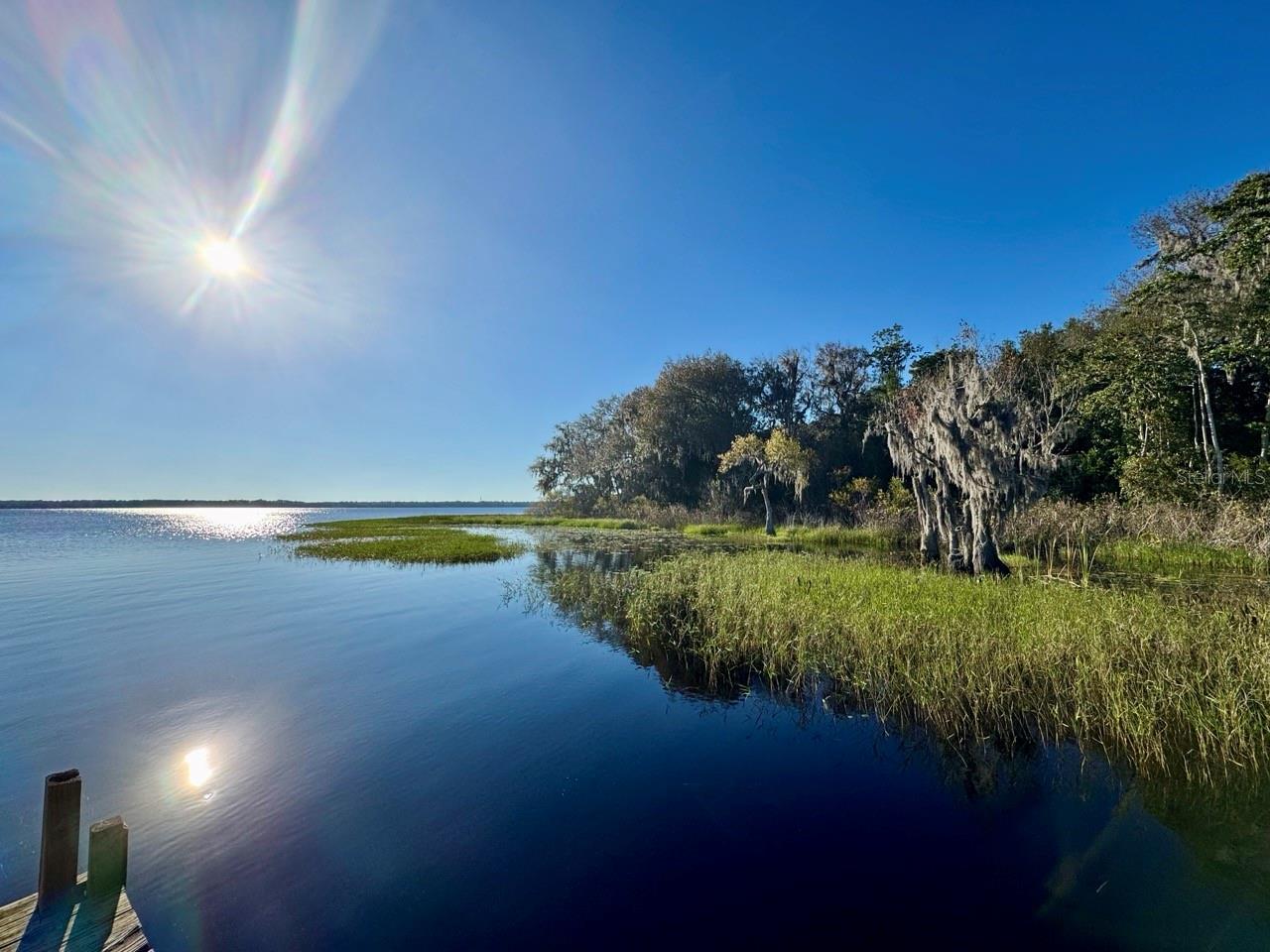 OCALA NATIONAL FOREST - Residential
