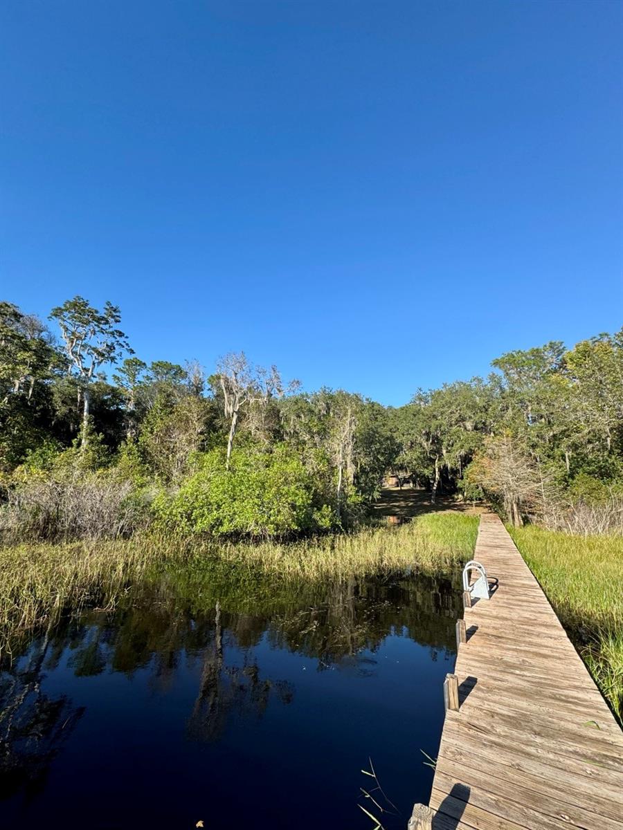 OCALA NATIONAL FOREST - Residential