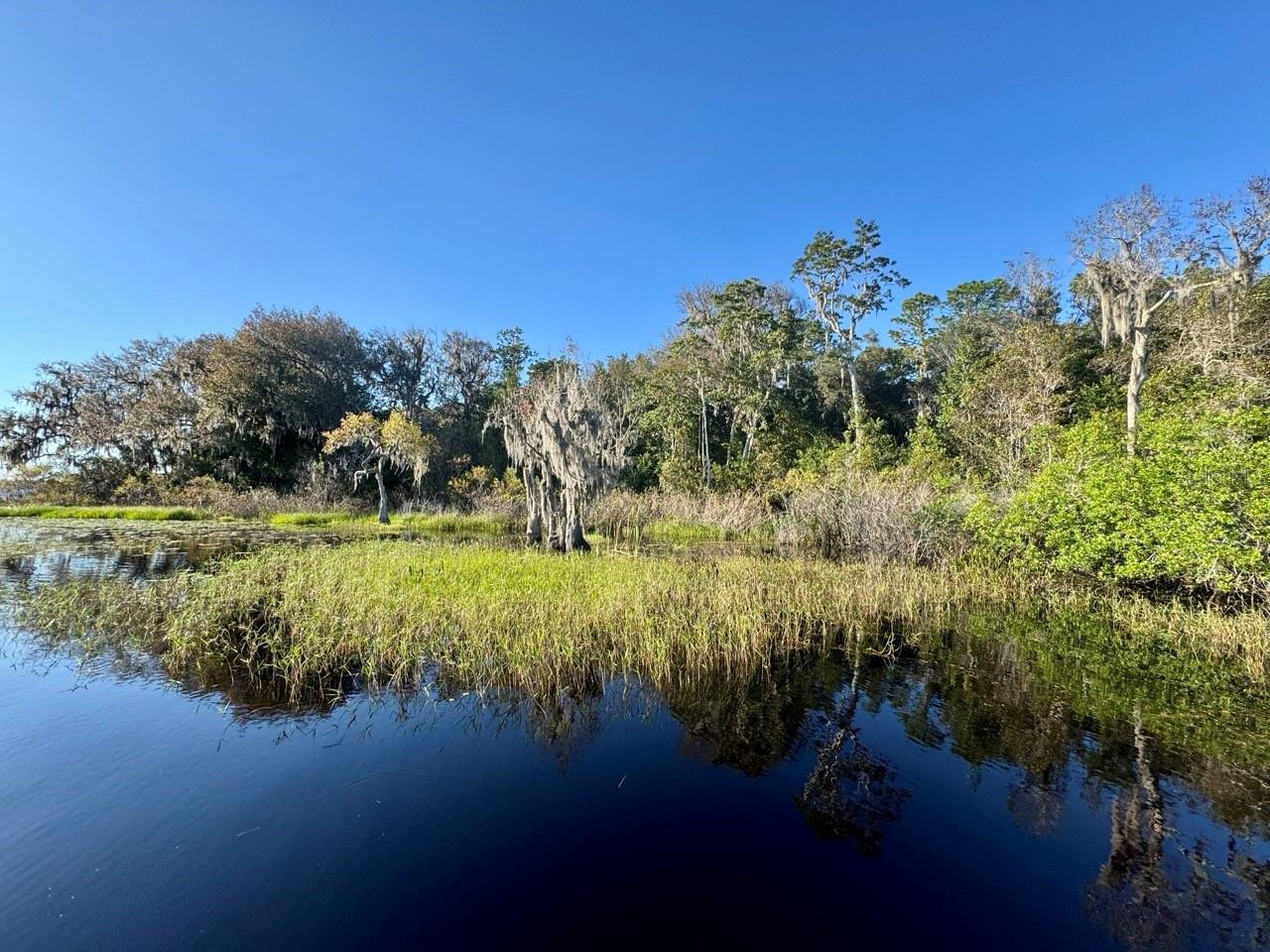 OCALA NATIONAL FOREST - Residential