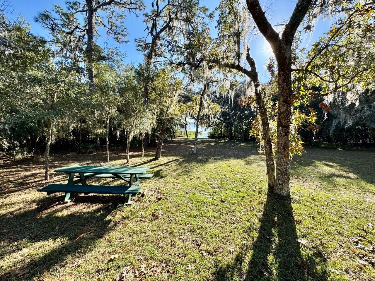 OCALA NATIONAL FOREST - Residential