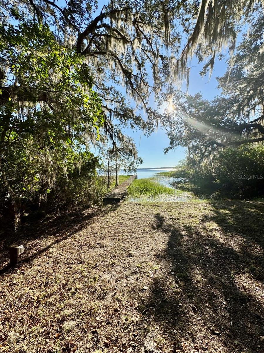 OCALA NATIONAL FOREST - Residential