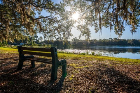 Tiny photo for 22649 NE 105th Avenue Road, Fort Mccoy, FL 32134 (MLS # O6451985)