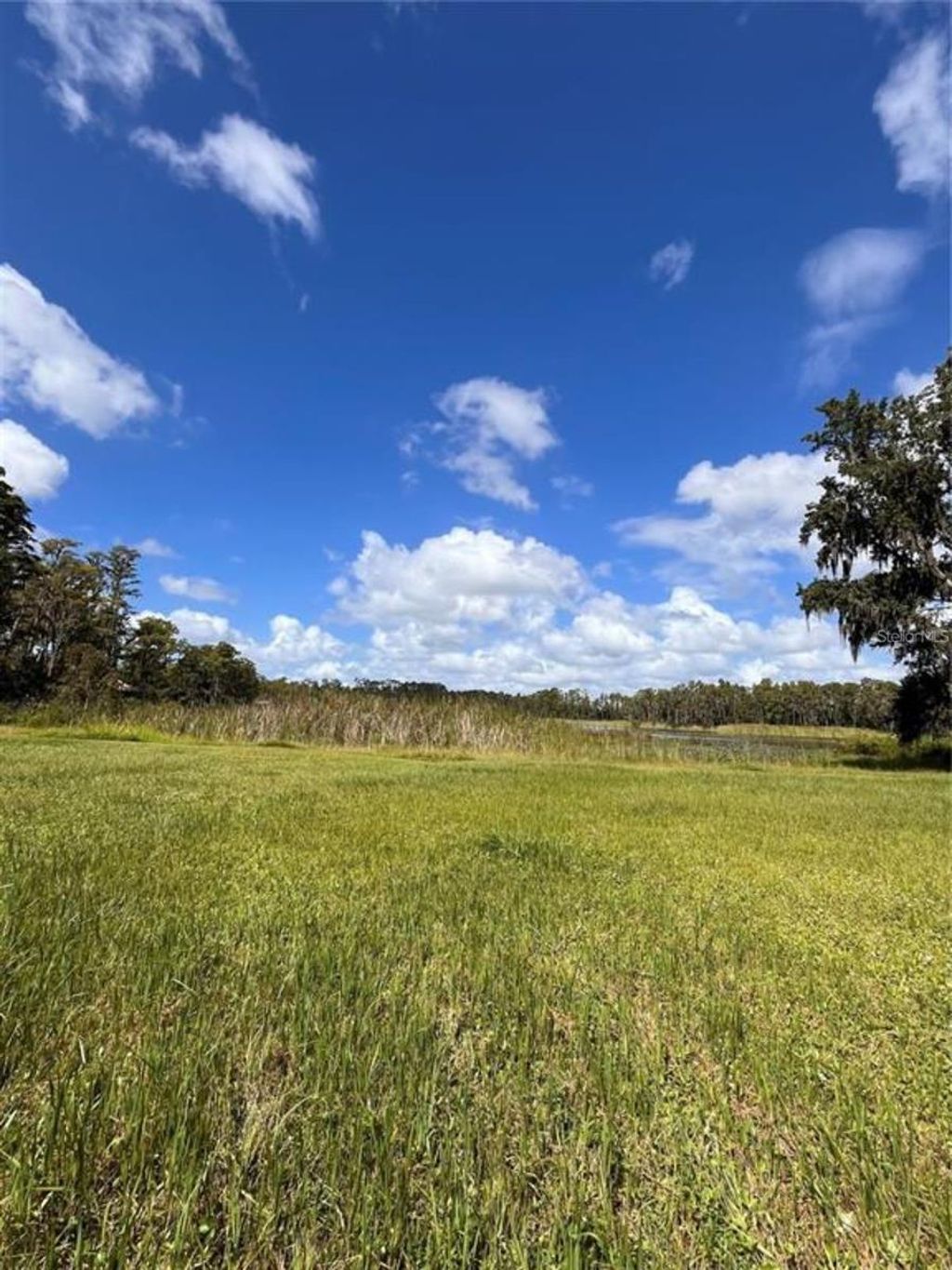 Photo of 1029 Van Dyke Road, Lutz, FL 33548 (MLS # TB8460037)