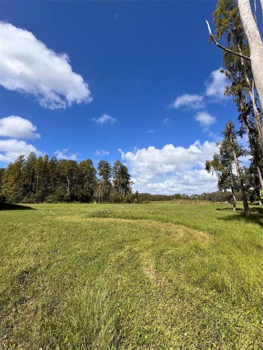 NOW AVAILABLE is a 4.71-acre land site offering exceptional potential for multi-use development. The property is zoned RSC-2 (Residential Single Family Conventional, 2 units per acre) and features over 386 feet of frontage along Van Dyke Road, providing excellent visibility and access. The highest and best uses include a church or religious facility, adult education or trade school, assisted living or similar facility, private events center, rehabilitation or recreational facility, or an estate home, among other possibilities. The site includes a partially constructed single-family residence to be delivered as a grey shell, presenting limitless opportunities for residential or select commercial development. Plans, permits, budget, and a builder team are already in place to complete the project as shown in the renderings, with completion scheduled for 2026. The proposed structure encompasses approximately 9,000 square feet with 13 rooms, including 5 bedrooms, 5.1 bathrooms, and a 3-car garage. Additional features include two fireplaces, a wine room, inground pool and spa, gym, game room, double reinforced concrete roof, and lake frontage on Reinheimer Lake. The site is also suitable for community residential homes (Type A), conventional single-family dwellings, family daycare homes, libraries, public schools (K–12), public parks and recreation facilities, private passive recreational use, ambulance services, beekeeping, and more. Ideally located just off the signalized intersection of North Dale Mabry Highway and Van Dyke Road, the property sits within a rapidly growing residential district and represents a strong investment opportunity for future construction and development. It is minutes from the Suncoast Parkway, North Dale Mabry Highway, US 41, and the many amenities of northern Hillsborough County, with a 2024 population of 3,758 within one mile, 48,021 within three miles, and 167,661 within five miles.