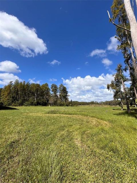 1029 VAN DYKE ROAD LUTZ FL 33548