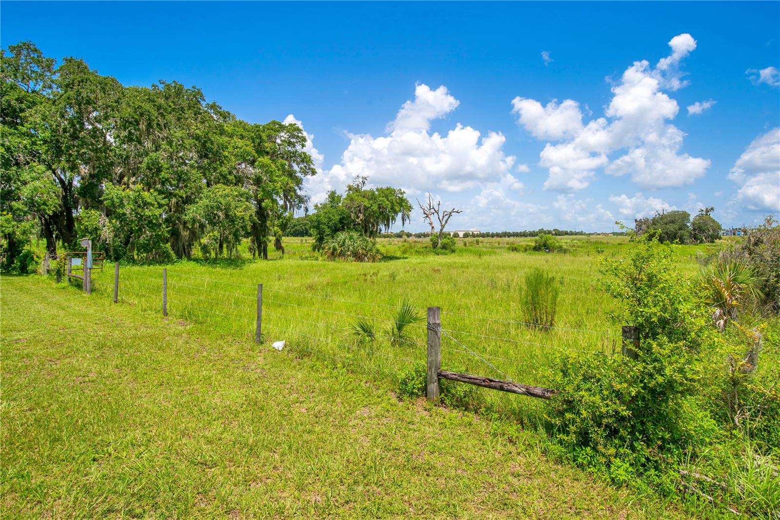 TEAGUE TRAIL

                                                                             LADY LAKE                                

                                    , FL - $100,000